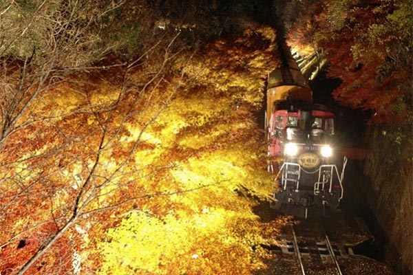嵯峨野観光鉄道の観光列車「光の幻想列車」(嵯峨野観光鉄道公式サイトより引用)