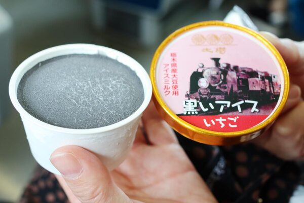 東武鉄道の観光列車「SL大樹」車内販売の「黒いアイス」