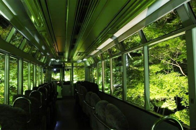 「青もみじのライトアップ」（画像：叡山電車）
