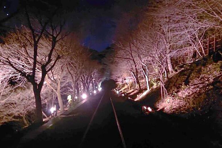 「春のライトアップ・イルミネーション列車」イメージ（画像：嵯峨野観光鉄道）