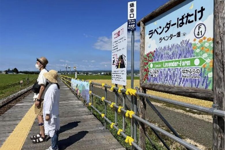臨時開設される富良野線のラベンダー畑駅（画像：JR北海道）