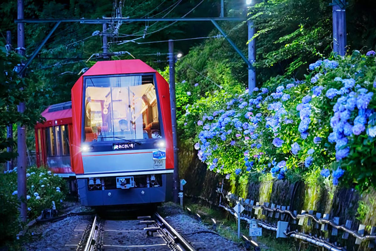 座席指定列車「夜のあじさい号」（画像：箱根登山鉄道）