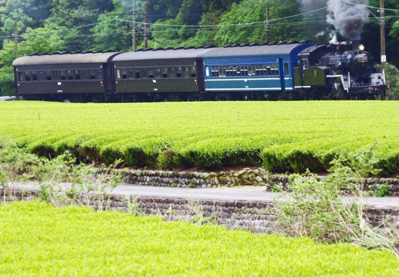 大井川鐵道の観光列車「SLかわね路号」（画像：大井川鐵道）