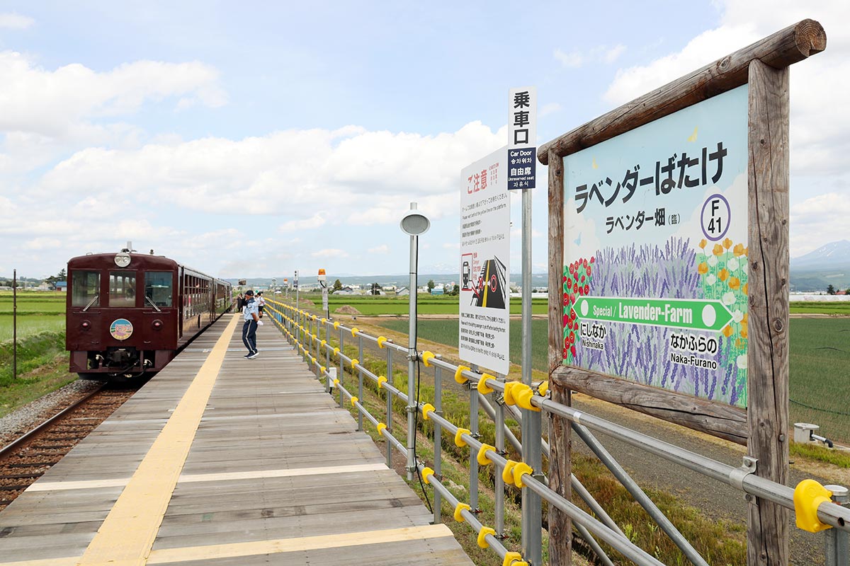 ラベンダー畑駅を発車する観光列車「富良野・美瑛ノロッコ号」