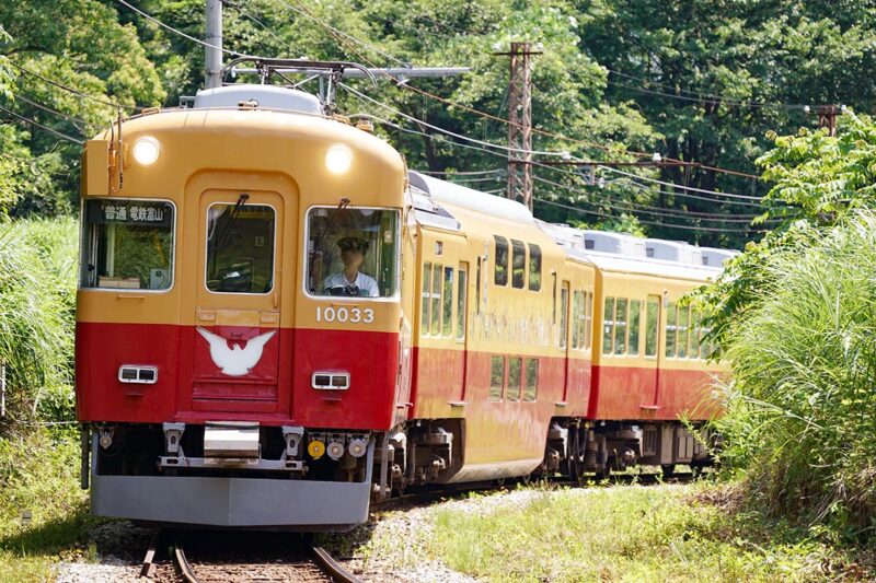 富山地鉄の観光列車「ダブルデッカーエキスプレス」