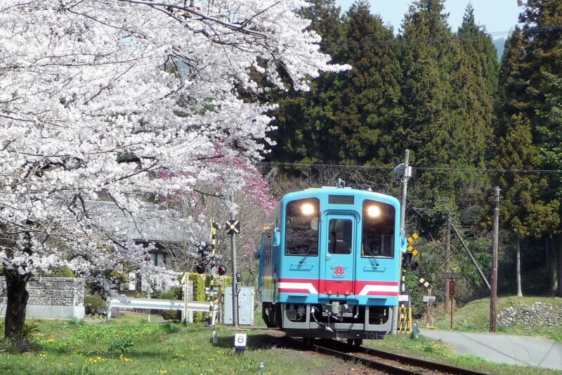 樽見鉄道の列車